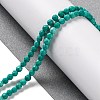 Natural Howlite Beads Strands G-C025-02B-08-2