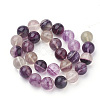 Natural Fluorite Beads Strands G-S279-03-2