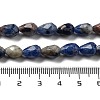 Natural Sodalite Beads Strands G-P520-B23-01-5