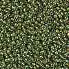 TOHO Round Seed Beads X-SEED-TR11-1007-2