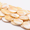 Natural Sea Shell Oval Bead Strands SSHEL-M015-02-20x15mm-1