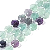 Natural Fluorite Beads Strands G-N342-04-1