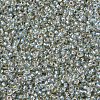 MIYUKI Round Rocailles Beads SEED-JP0008-RR3192-3