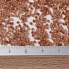 MIYUKI Delica Beads X-SEED-J020-DB1733-4