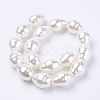 Shell Pearl Beads Strands BSHE-L035-A02-2