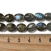 Natural Labradorite Beads Strands G-P544-D06-01-5