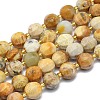 Natural Fossil Coral Beads Strands G-K306-A07-10mm-1