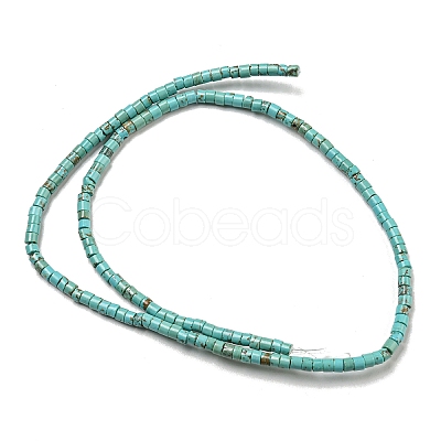 Natural Turquoise Beads Strands G-C084-D10-02-1