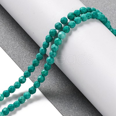 Natural Howlite Beads Strands G-C025-02B-08-1