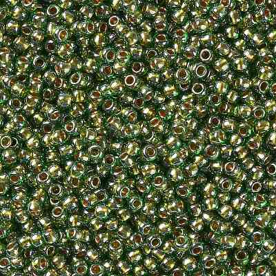 TOHO Round Seed Beads X-SEED-TR11-1007-1