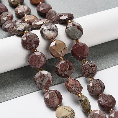 Natural America Picture Jasper Beads Strands G-NH0004-035-1