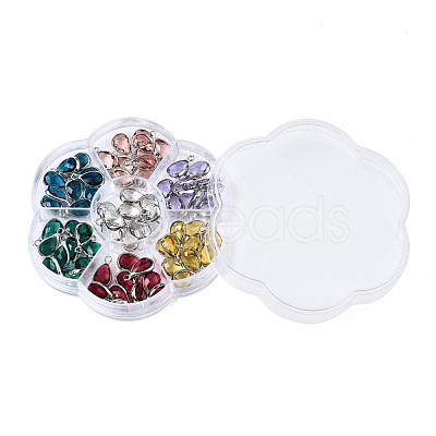 K9 Glass Charms GLAA-N038-26-1