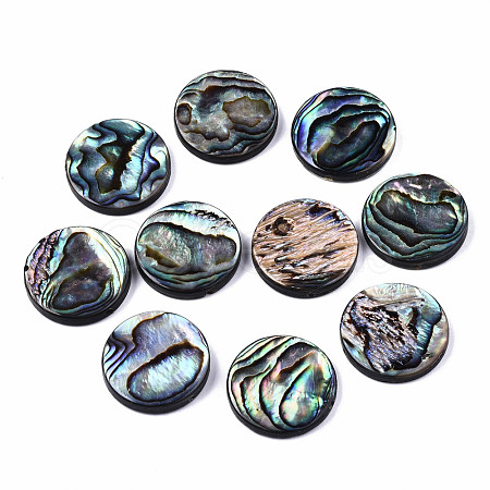 Natural Abalone Shell/Paua Shell Beads SSHEL-T014-14E-1