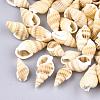Natural Spiral Shell Beads SSHEL-R036-15-3