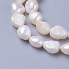 Natural Cultured Freshwater Pearl Beads Strands PEAR-L021-19B-2
