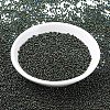 MIYUKI Round Rocailles Beads SEED-X0054-RR0453-2