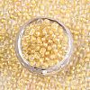 8/0 Glass Seed Beads X-SEED-A015-3mm-2202-3