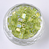 6/0 Glass Seed Beads SEED-S027-06B-05-2
