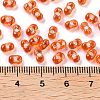 Glass Seed Beads SEED-A033-01B-02-3