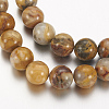 Natural Crazy Lace Agate Round Bead Strands X-G-M272-03-8mm-3