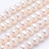 Natural Cultured Freshwater Pearl Beads Strands PEAR-F004-18-1