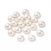 Shell Pearl Half Drilled Beads X-BSHE-G011-01-12mm-1