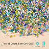  300g 15 Colors 11/0 Two Cut Glass Seed Beads SEED-NB0001-28-5