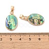 Constellation Natural Paua Shell Pendants KK-P265-01G-03-3