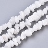 Natural White Moonstone Beads Strands X-G-S363-018-1