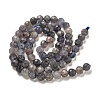 Natural Iolite Beads Strands G-J400-E05-02A-4