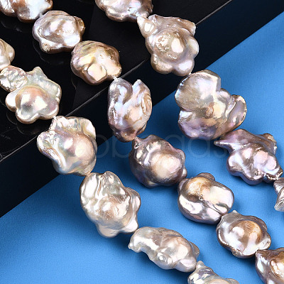 Baroque Natural Nucleated Keshi Pearl Beads Strands PEAR-S020-A02-1