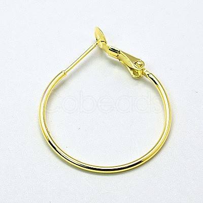 Brass Hoop Earrings EC259-G-1