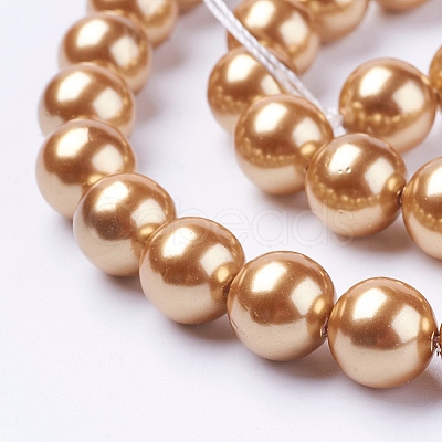 Shell Pearl Beads Strands BSHE-L035-10mm-I02-1