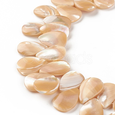 Natural Trochid Shell/Trochus Shell Beads SSHEL-T012-17-1