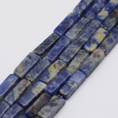 Natural Sodalite Stone Beads Strands G-E342-01-1