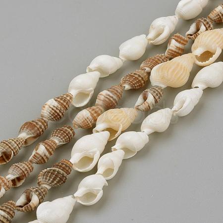 Natural Sea Shell Beads Strands SSHEL-R043-05-1