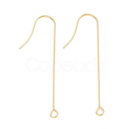 316 Surgical Stainless Steel Earring Hooks STAS-E027-02A-G-1