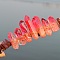 Natural Electroplated Crystal Hair Bands, with Strawberry Quartzl Chips, Crown Hair Bands, for Women Girls, 270x180x30mm