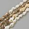 Natural Sea Shell Beads Strands, Mixed Color, 8~18x5~10x5~10mm, about 109pcs/strand, 48 inch