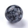 Natural Snowflake Obsidian Beads G-L564-004-C02-2