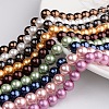 Polished Round Grade A Shell Pearl Bead Strands BSHE-M027-12mm-M-1