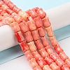 Synthetic Shell Dyed Beads Strands SHEL-K007-01C-2