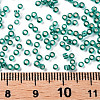12/0 Grade A Round Glass Seed Beads SEED-Q007-F51-3