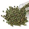 TOHO Round Seed Beads SEED-JPTR08-1702-1