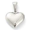 304 Stainless Steel Pendants X-STAS-P278-01Z-P-2