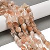 Natural Sunstone Beads Strands G-P497-01E-81A-2