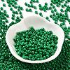 Baking Paint Glass Seed Beads SEED-H002-I-B508-2