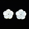 Natural White Shell Mother of Pearl Shell Beads SSHEL-T014-42B-2
