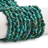 Natural HuBei Turquoise Beads Strands G-B089-B01-01-1