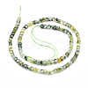 Natural Prehnite Beads Strands G-D0003-B03-2